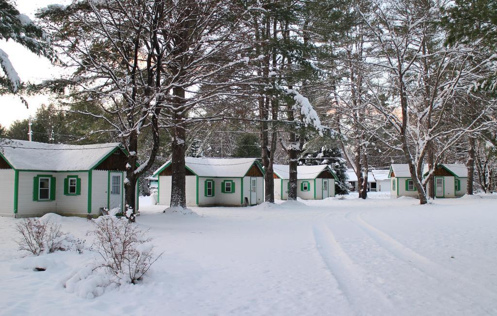 Pine Valley Cabins Thornton Room photo