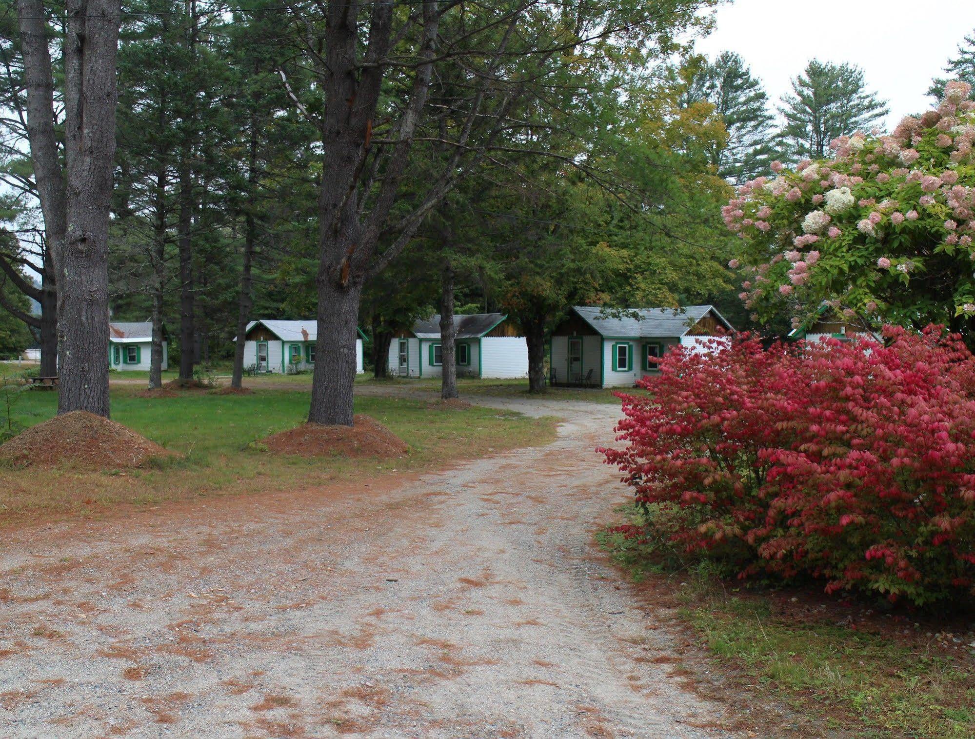 Pine Valley Cabins Thornton Exterior photo